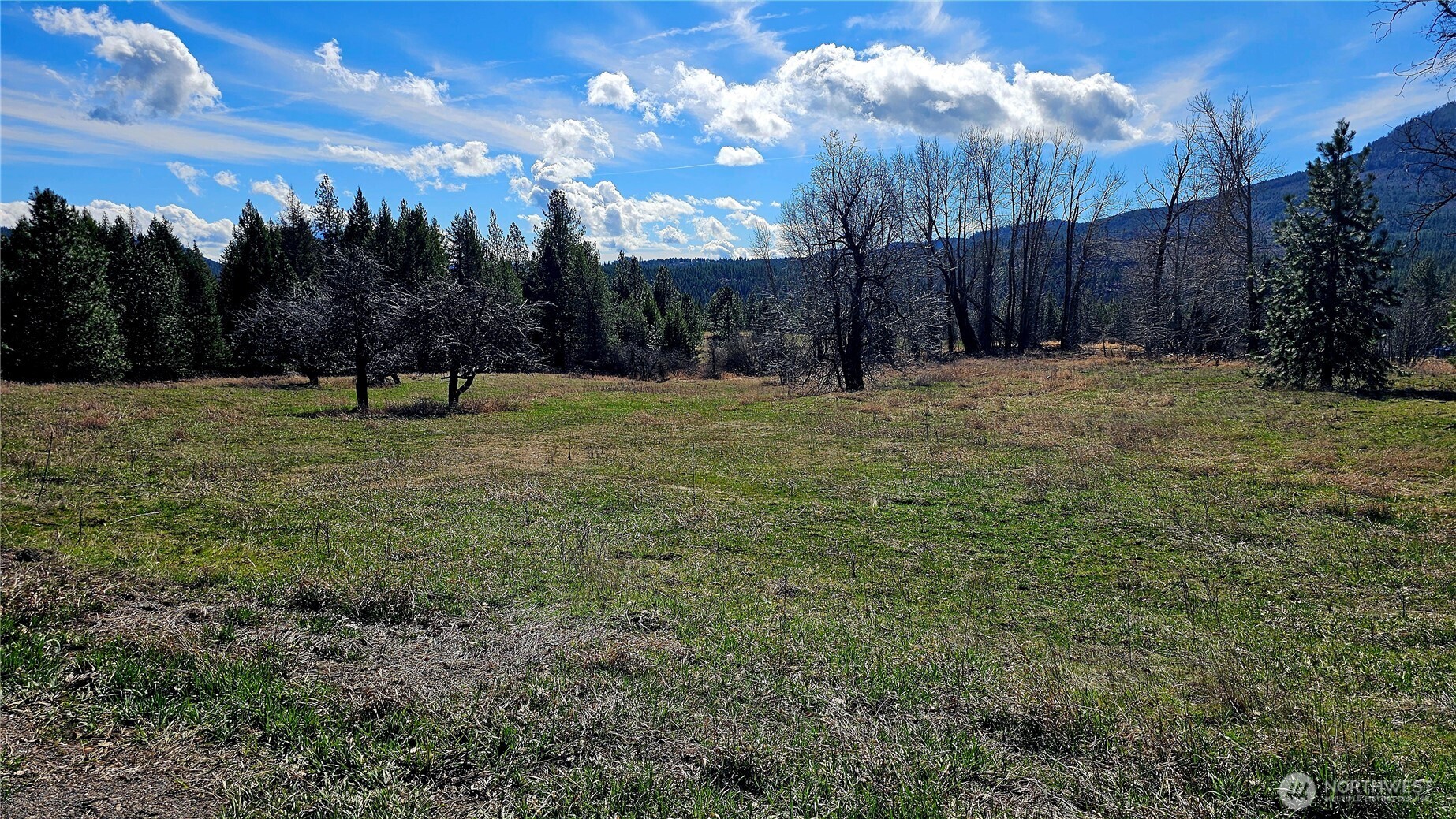 2068 Addy-gifford Road Addy WA 99101