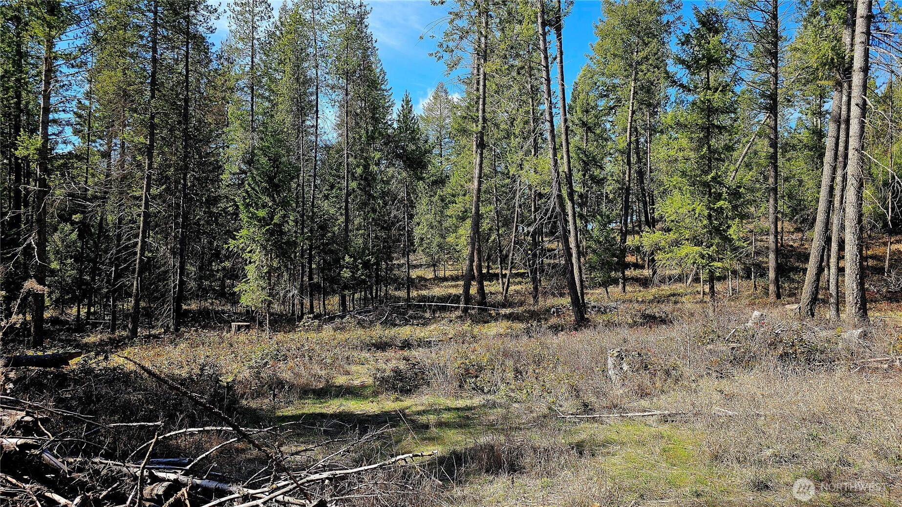 2068 Addy-gifford Road Addy WA 99101