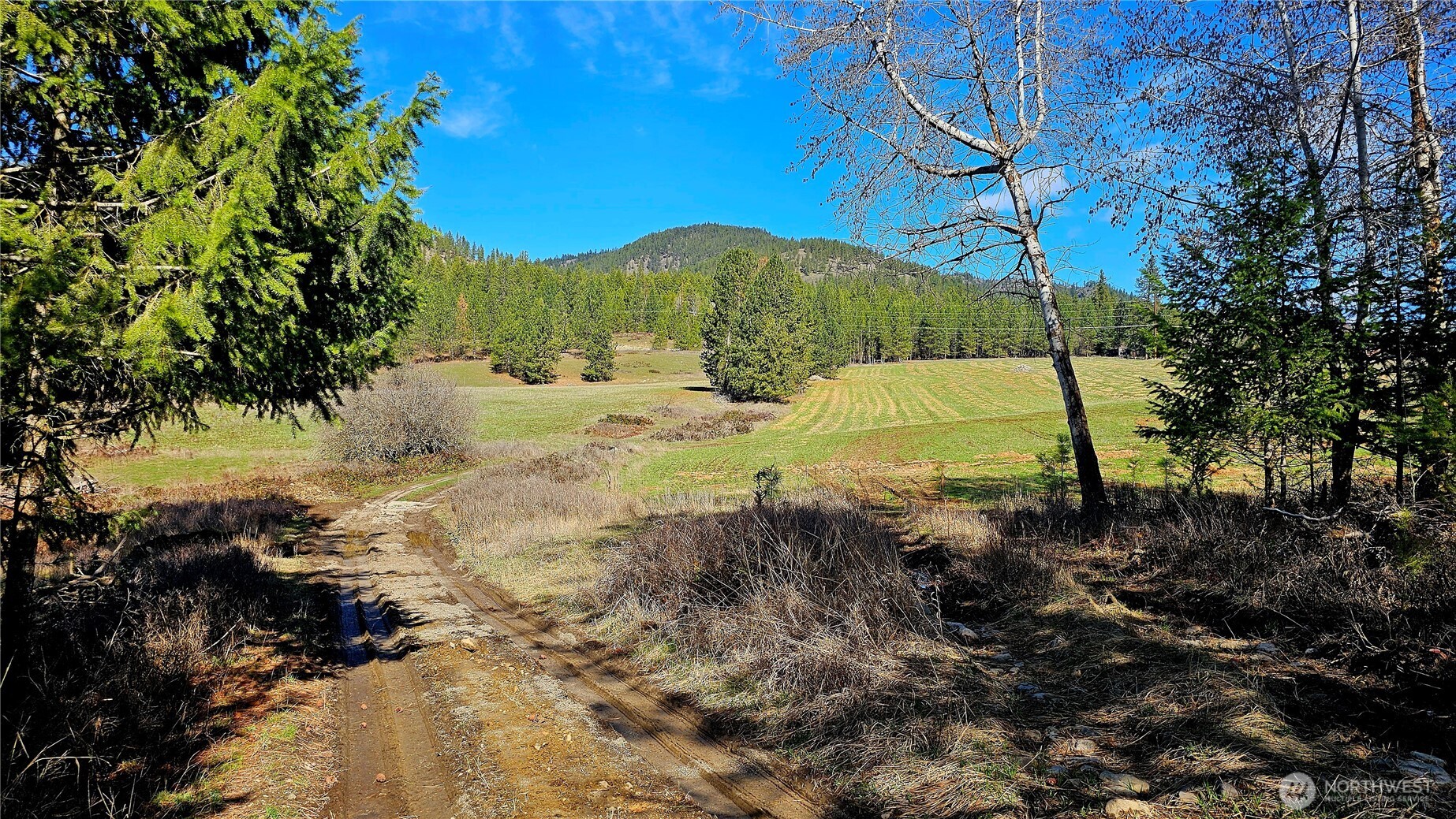 2068 Addy-gifford Road Addy WA 99101