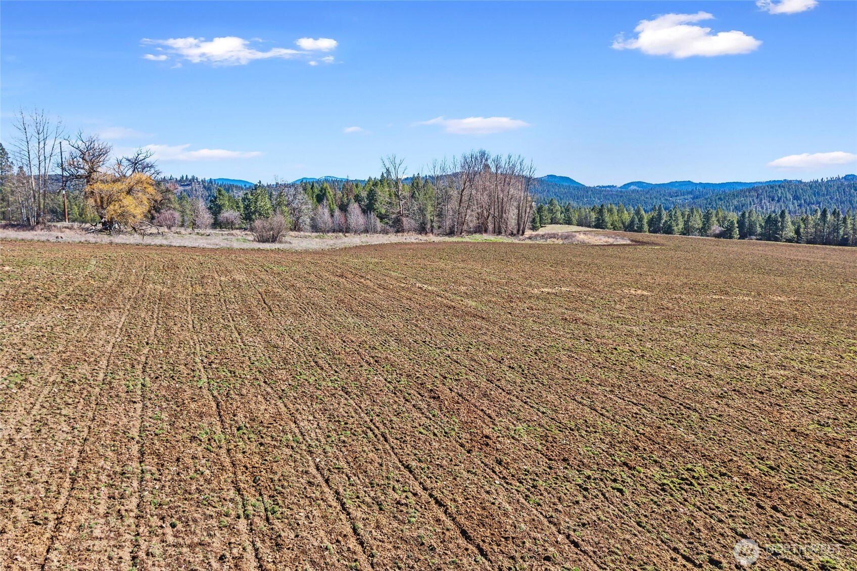 2068 Addy-gifford Road Addy WA 99101
