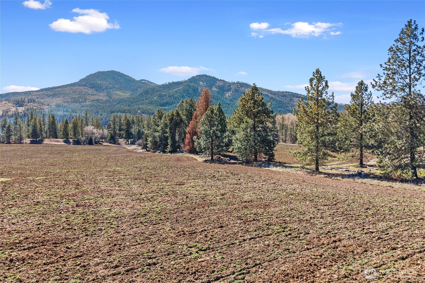 2068 Addy-gifford Road Addy WA 99101