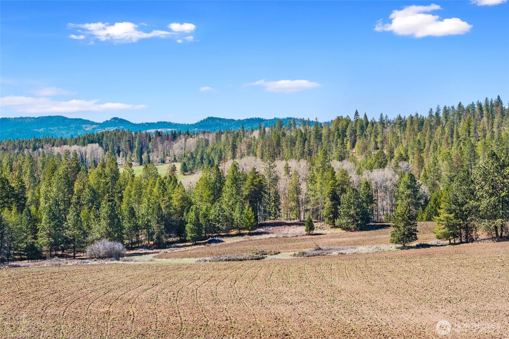 2068 Addy-gifford Road Addy WA 99101