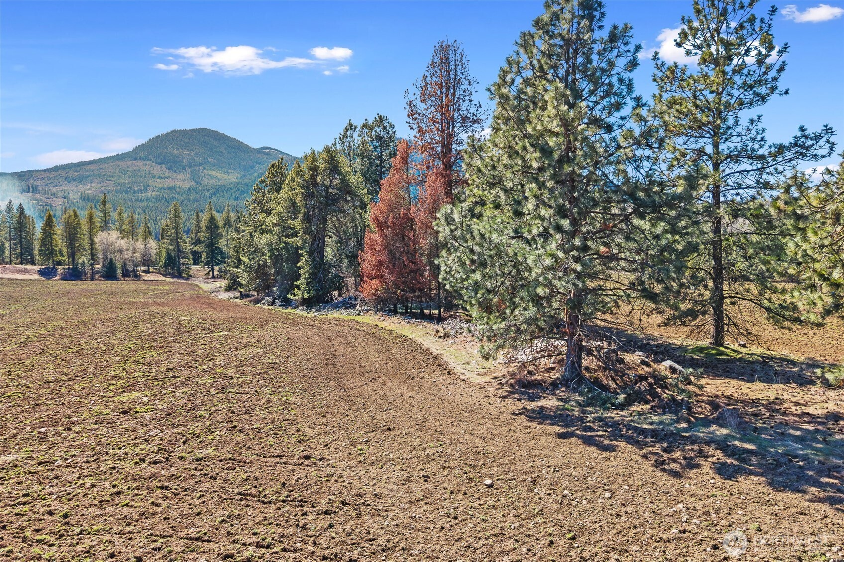 2068 Addy-gifford Road Addy WA 99101