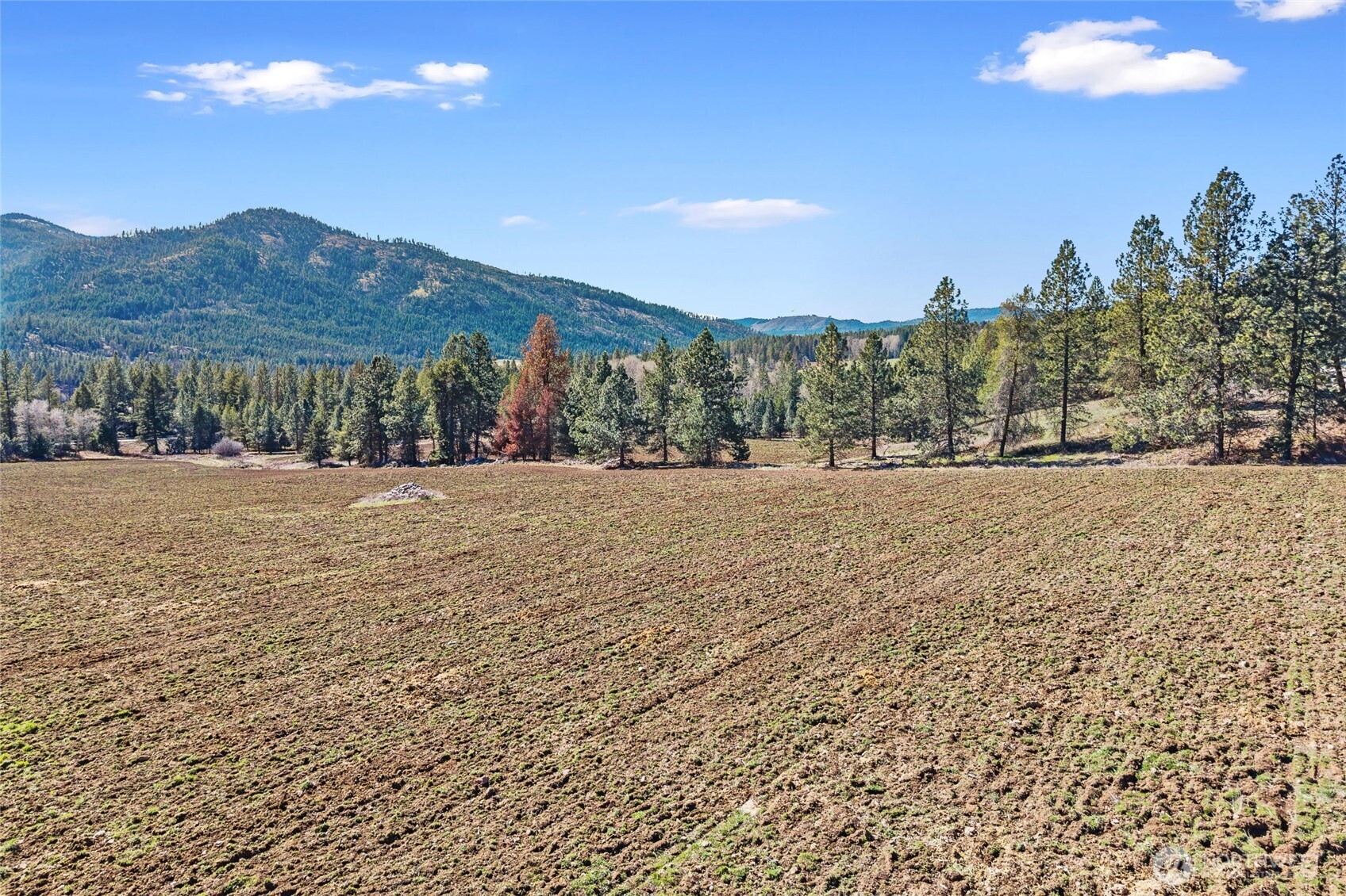 2068 Addy-gifford Road Addy WA 99101