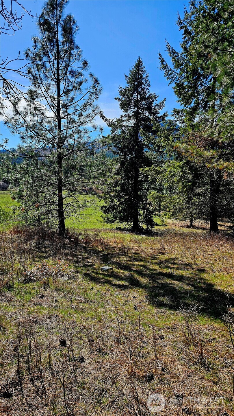 2068 Addy-gifford Road Addy WA 99101