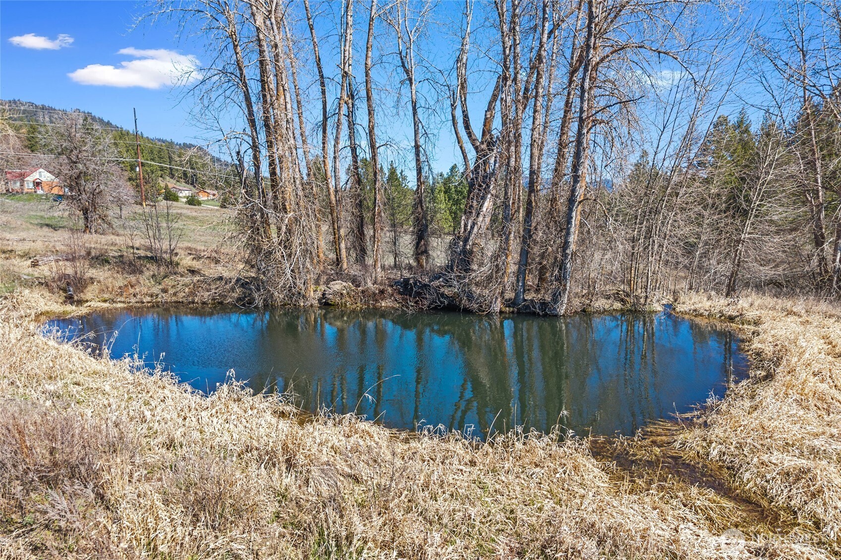 2068 Addy-gifford Road Addy WA 99101