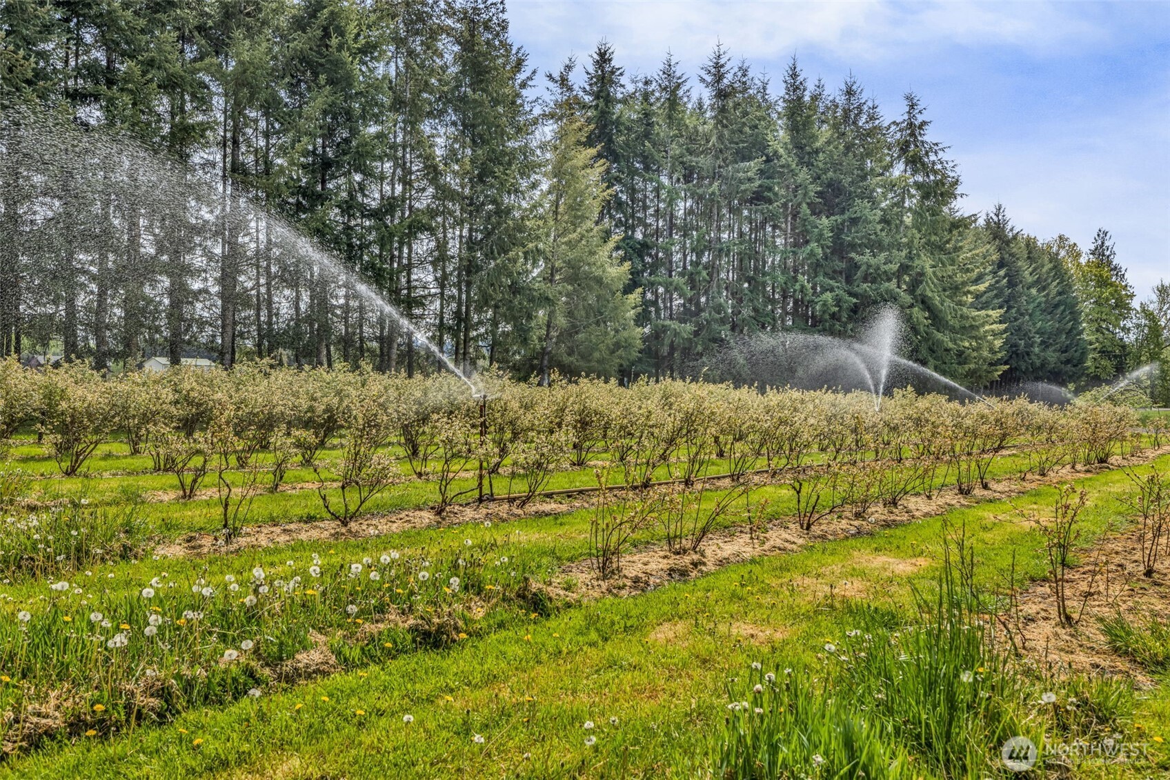 761 State Route 508 Chehalis WA 98532