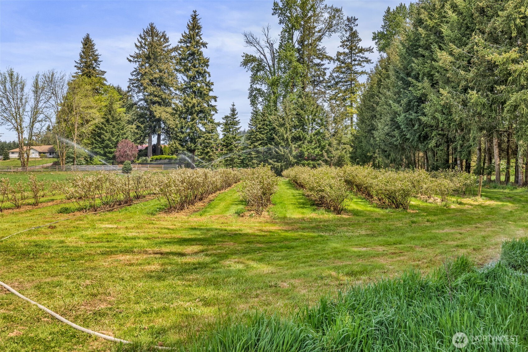 761 State Route 508 Chehalis WA 98532