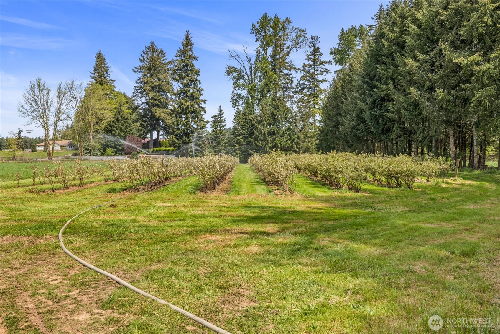 761 State Route 508 Chehalis WA 98532