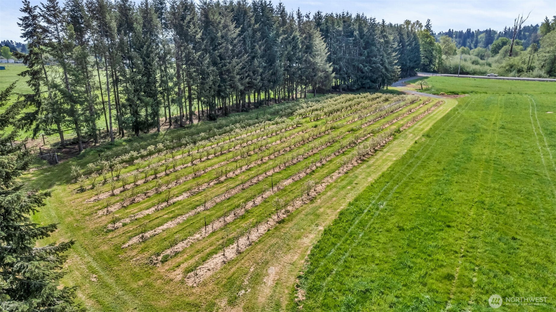 761 State Route 508 Chehalis WA 98532