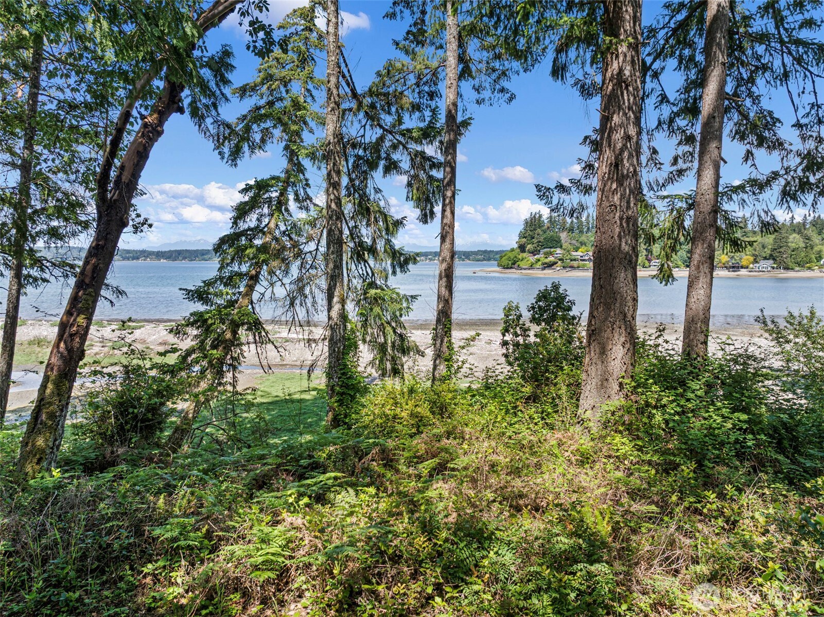 10102 Rosedale Bay Court NW Gig Harbor WA 98335