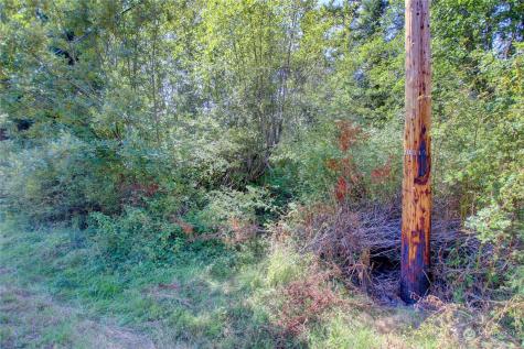 0 Race Road Coupeville WA 98239