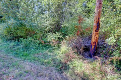0 Race Road Coupeville WA 98239