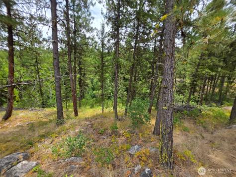 25 Outback Road Oroville WA 98844