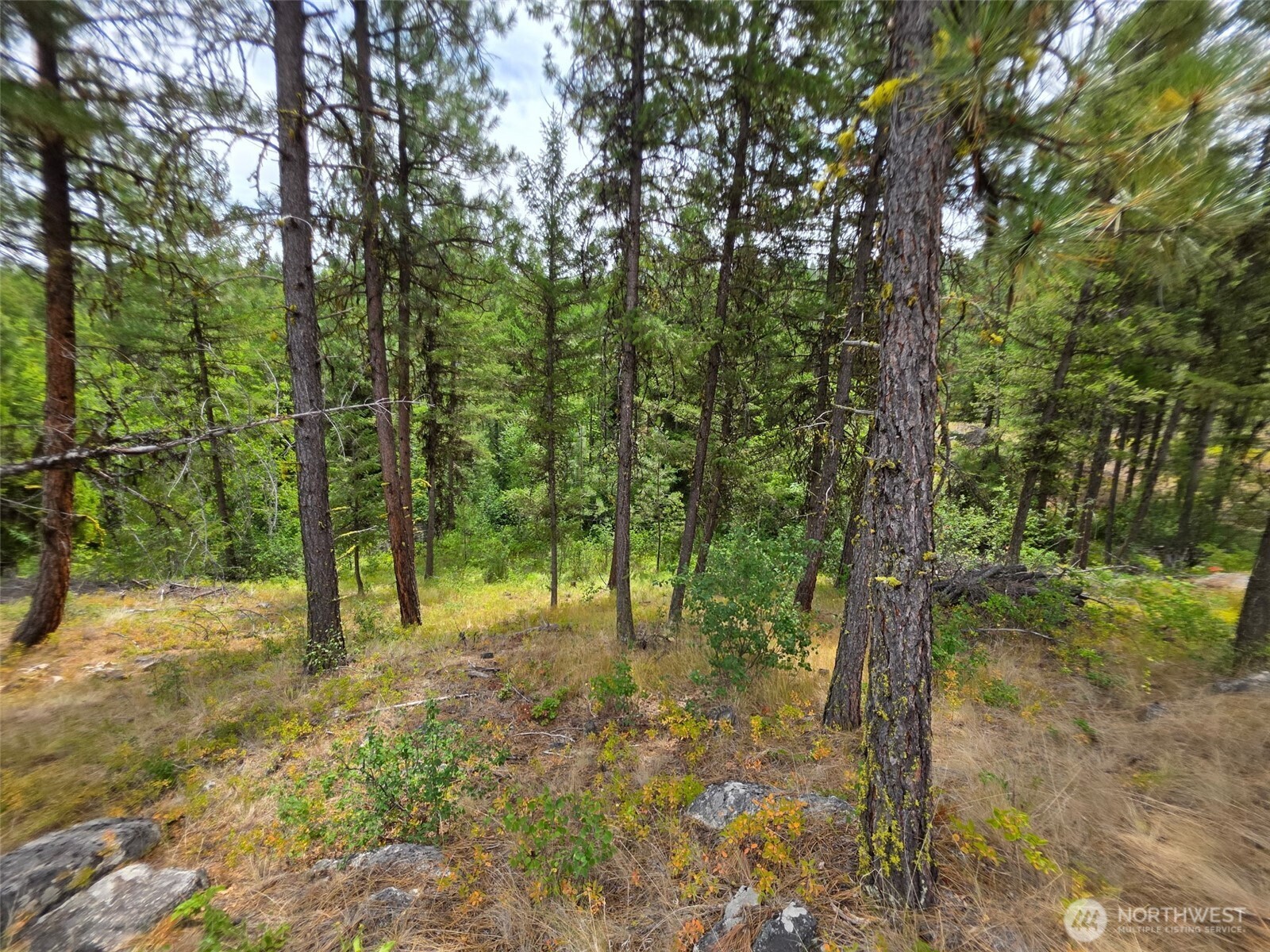 25 Outback Road Oroville WA 98844