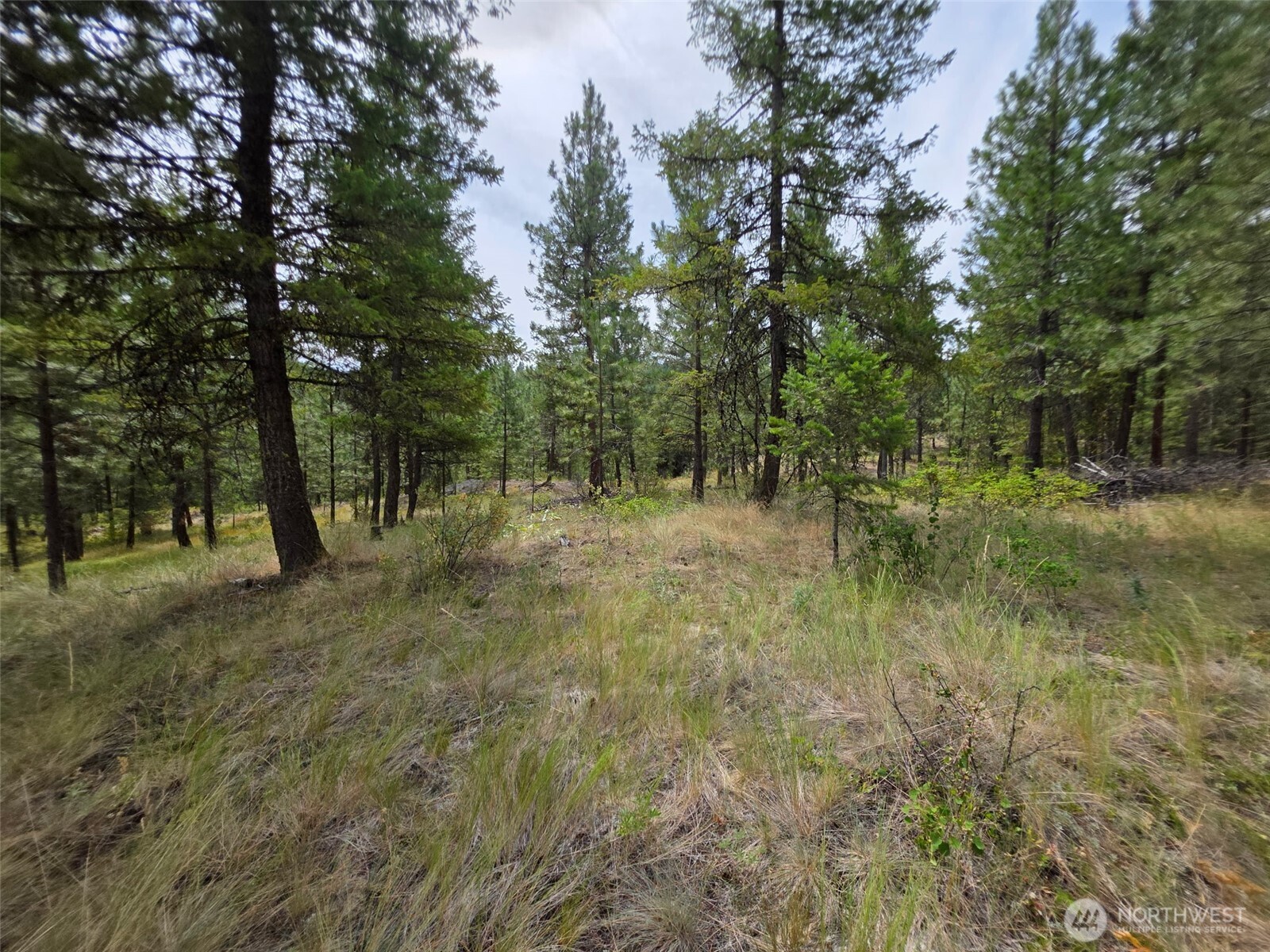 25 Outback Road Oroville WA 98844