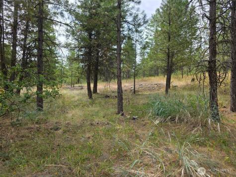 25 Outback Road Oroville WA 98844