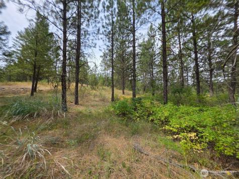 25 Outback Road Oroville WA 98844