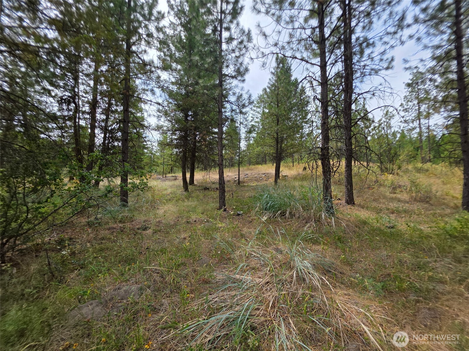25 Outback Road Oroville WA 98844
