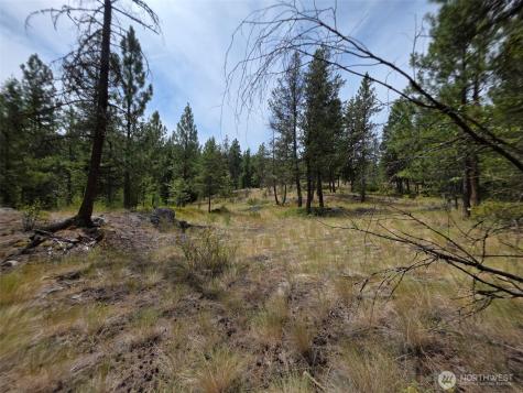 25 Outback Road Oroville WA 98844