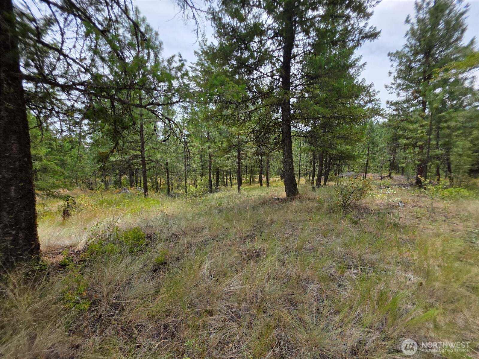 25 Outback Road Oroville WA 98844
