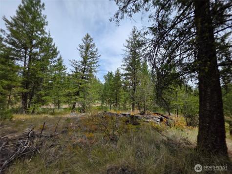 25 Outback Road Oroville WA 98844