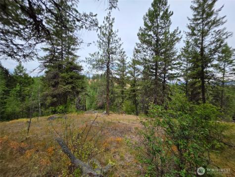 25 Outback Road Oroville WA 98844