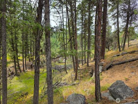 25 Outback Road Oroville WA 98844