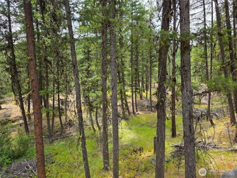 25 Outback Road Oroville WA 98844