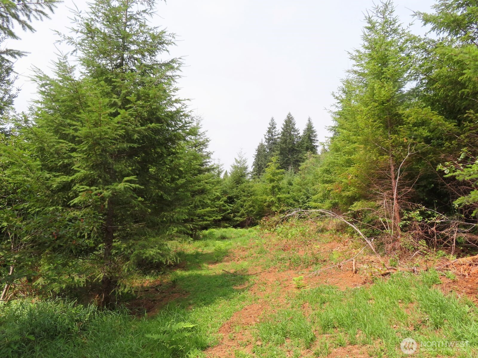 0 Mill Creek Lane Longview WA 98632