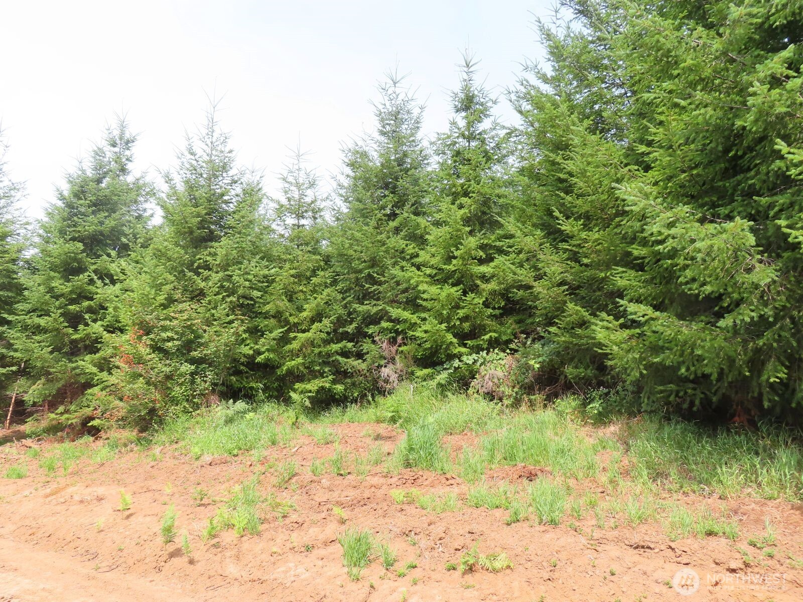 0 Mill Creek Lane Longview WA 98632