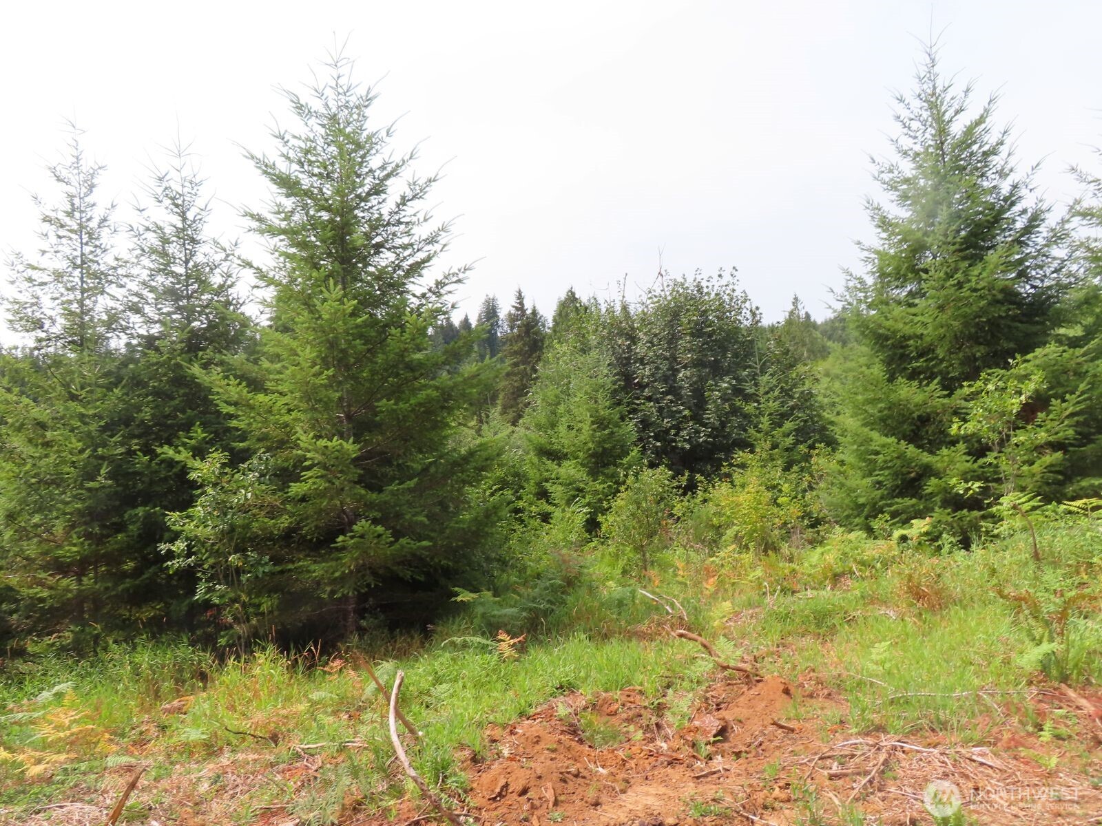 0 Mill Creek Lane Longview WA 98632