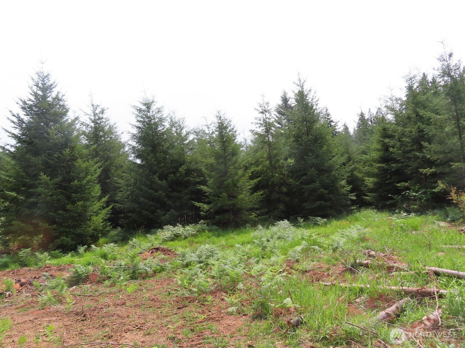 0 Mill Creek Lane Longview WA 98632