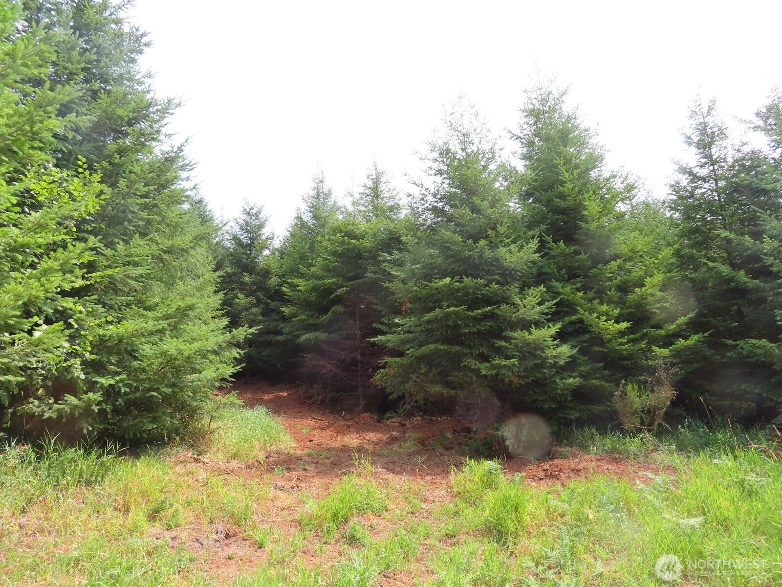 0 Mill Creek Lane Longview WA 98632