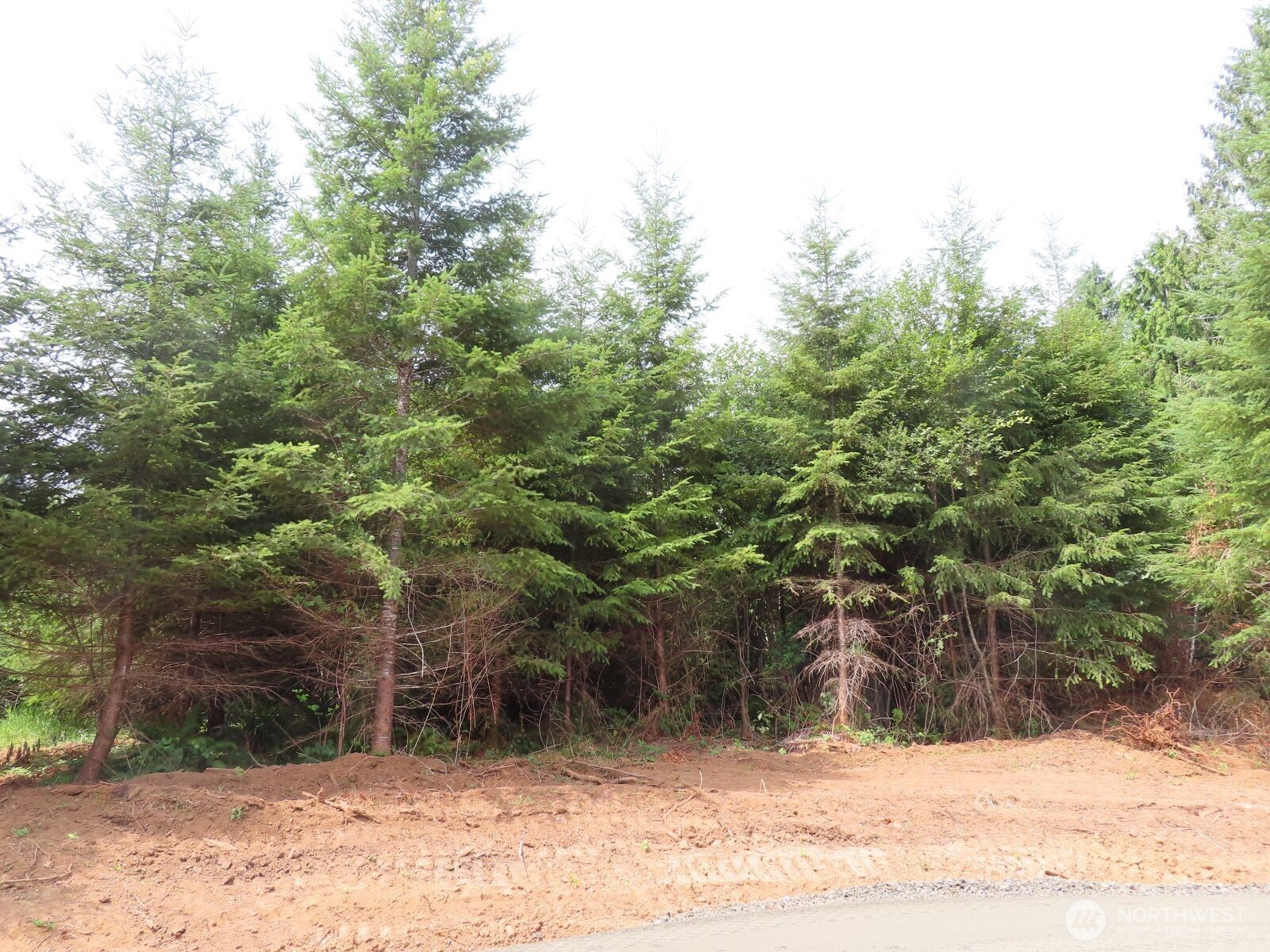 0 Mill Creek Lane Longview WA 98632