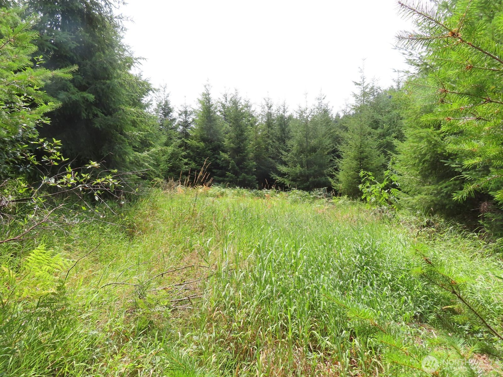 0 Mill Creek Lane Longview WA 98632