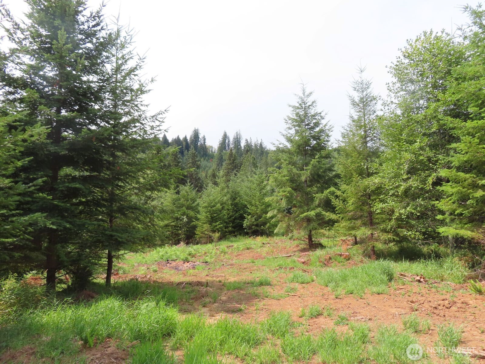 0 Mill Creek Lane Longview WA 98632