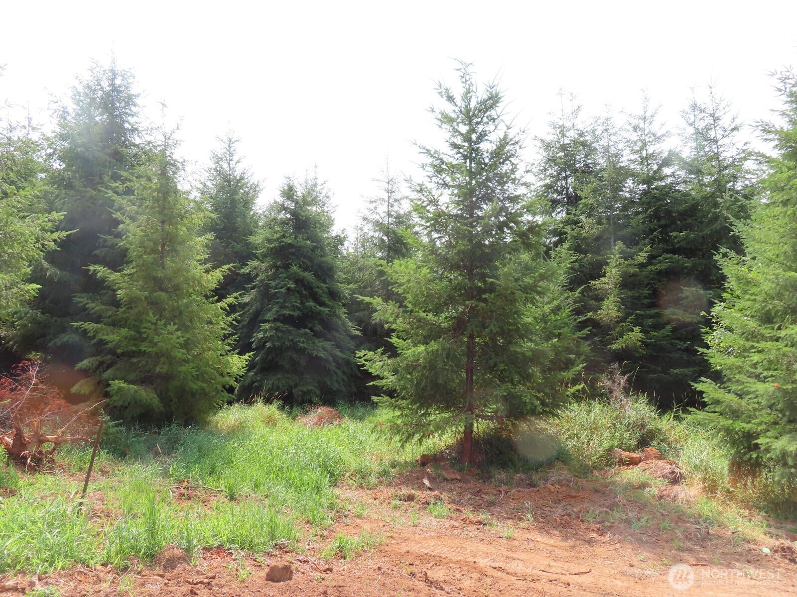 0 Mill Creek Lane Longview WA 98632