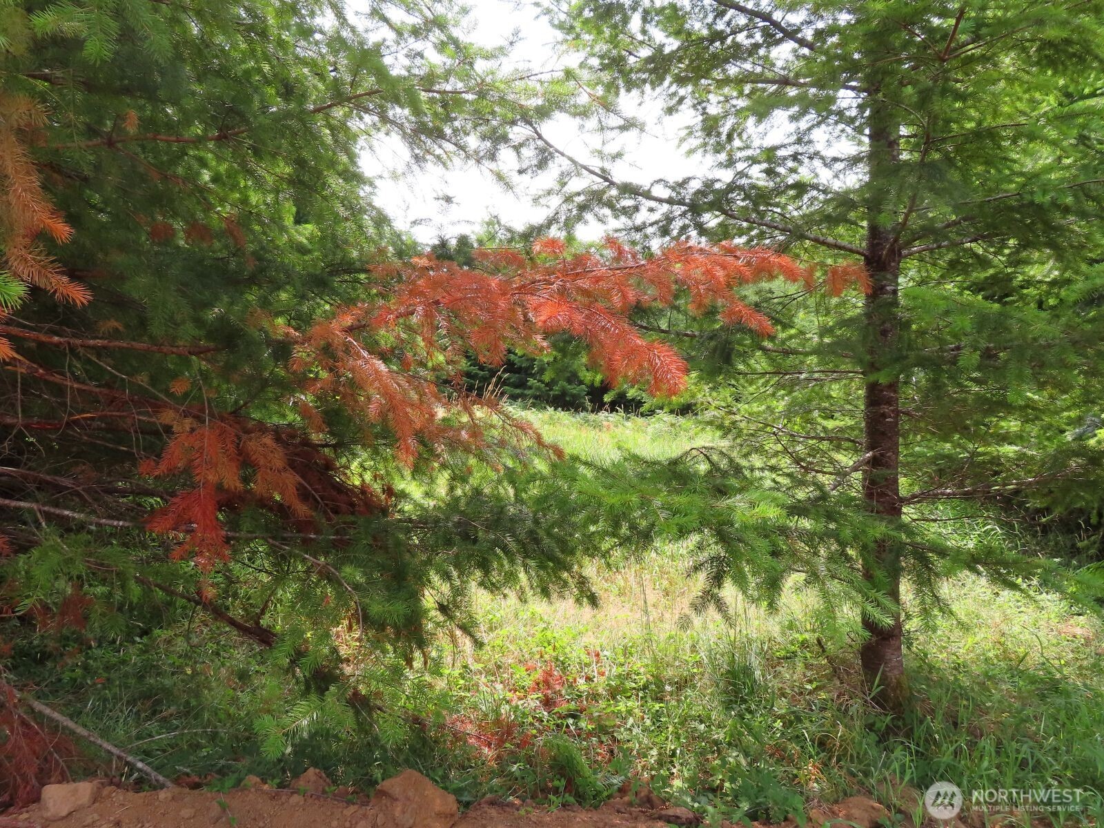 0 Mill Creek Lane Longview WA 98632