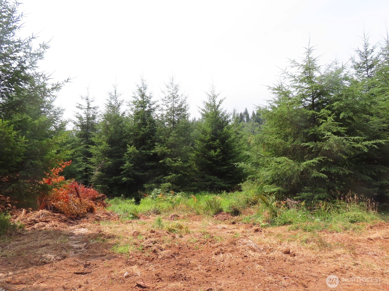 0 Mill Creek Lane Longview WA 98632