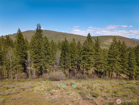 0 Whitebark Lane Winthrop WA 98862