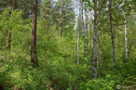 0 Whitebark Lane Winthrop WA 98862