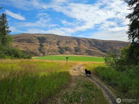 0 Whitebark Lane Winthrop WA 98862
