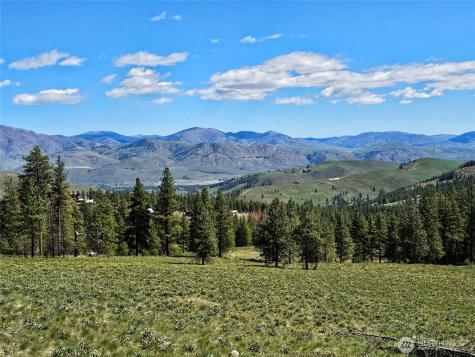 0 Whitebark Lane Winthrop WA 98862
