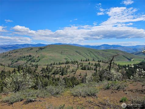 0 Whitebark Lane Winthrop WA 98862