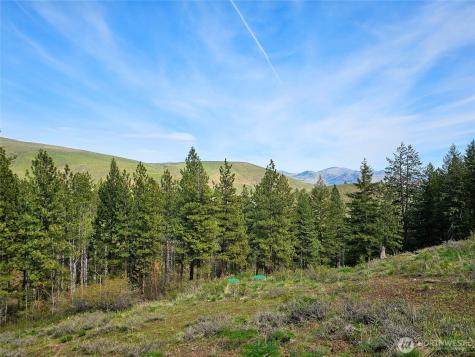 0 Whitebark Lane Winthrop WA 98862
