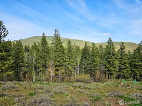 0 Whitebark Lane Winthrop WA 98862