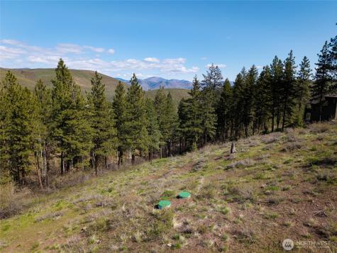 0 Whitebark Lane Winthrop WA 98862
