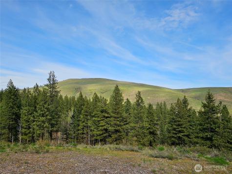0 Whitebark Lane Winthrop WA 98862