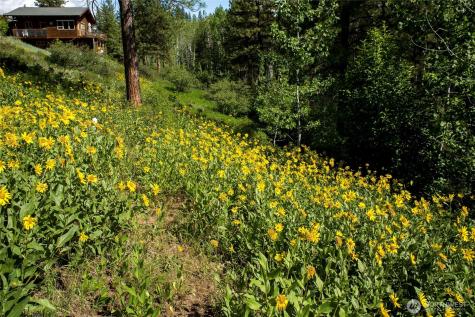 0 Whitebark Lane Winthrop WA 98862
